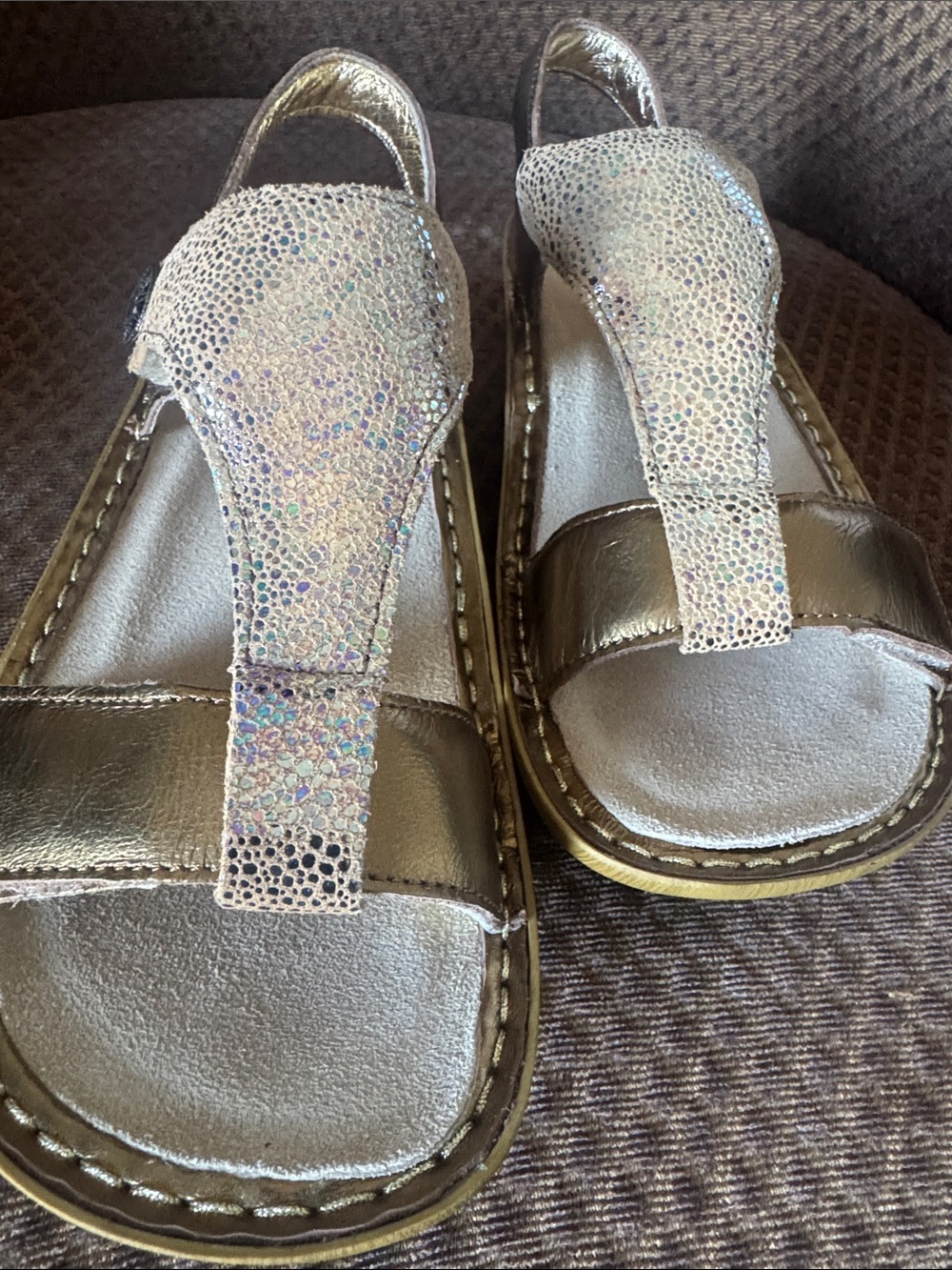 Alegria Metallic Gold and Champagne T-Strap Sandals - Picture 2 of 6